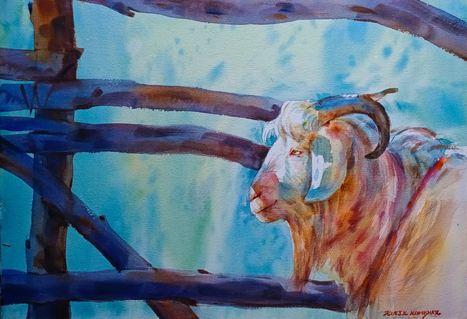 Kashmiri Goat – Morning Stillness
